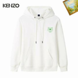 Picture of Kenzo Hoodies _SKUKenzoM-3XL25tn0110970